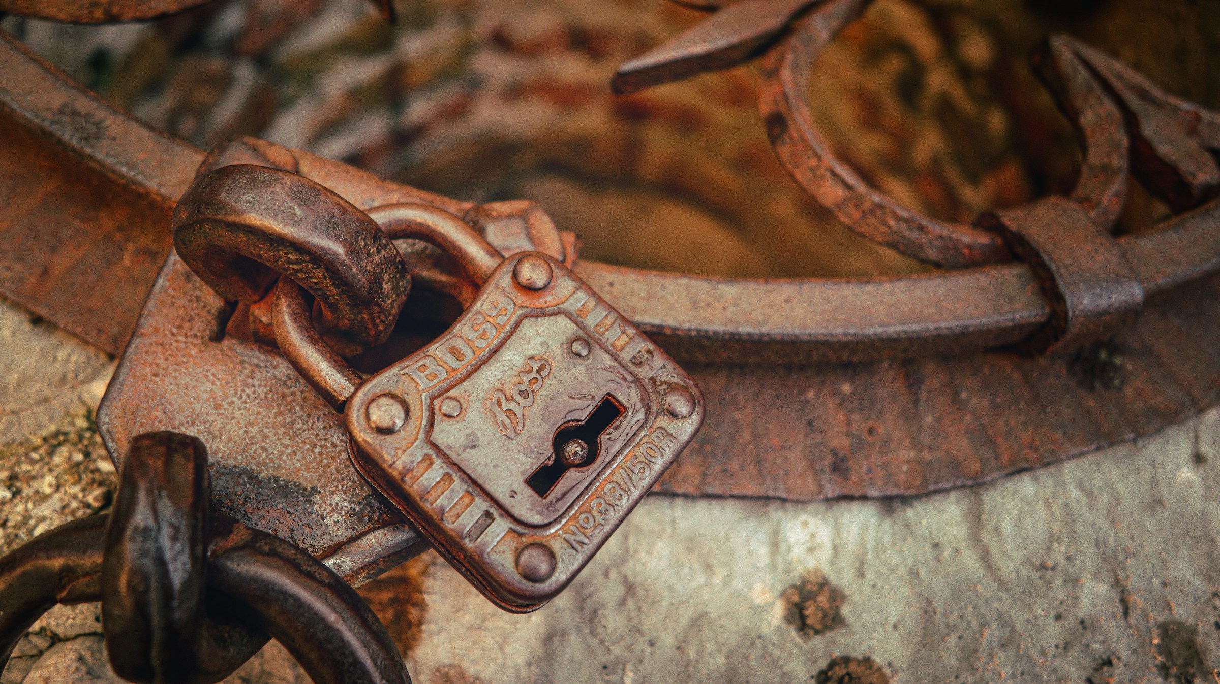 rusted metal padlock with a horse on it
