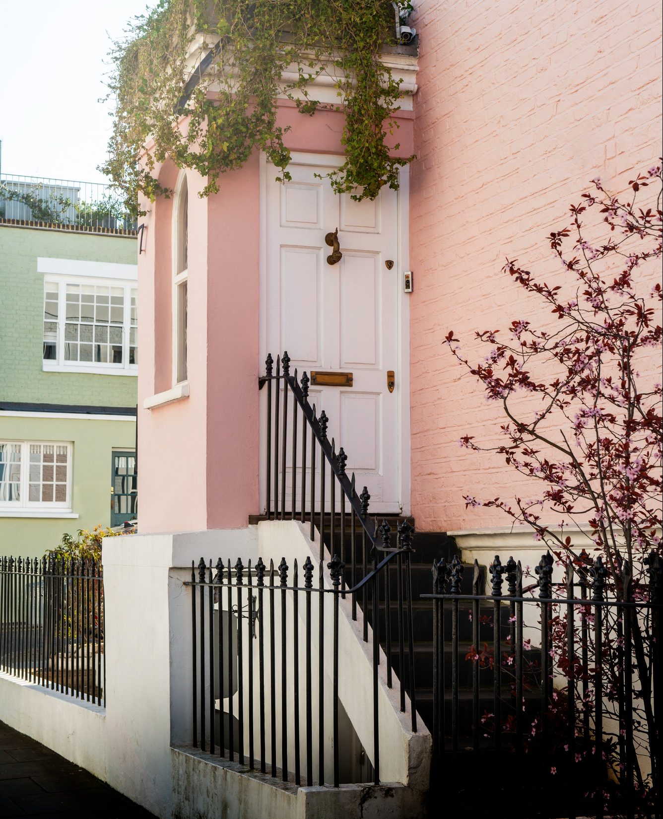 Front entrance of a pink brick house featuring a white door with black railings on the steps and greenery overhanging the doorway.